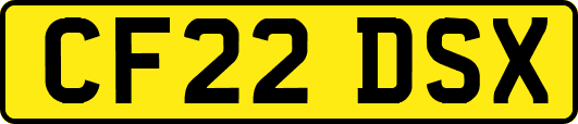CF22DSX
