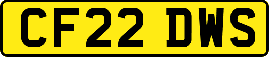 CF22DWS