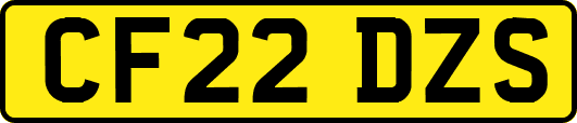 CF22DZS