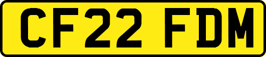 CF22FDM