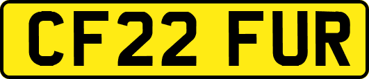 CF22FUR