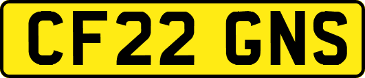 CF22GNS