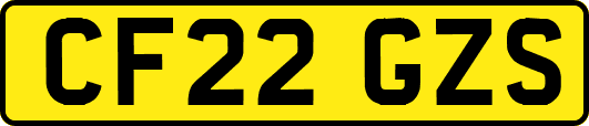 CF22GZS