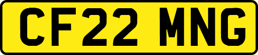 CF22MNG