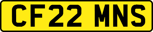 CF22MNS