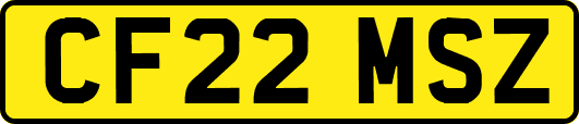 CF22MSZ