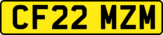 CF22MZM