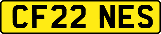 CF22NES