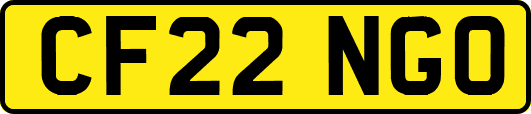CF22NGO