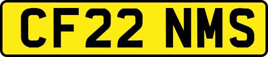 CF22NMS
