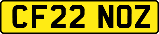 CF22NOZ
