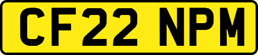 CF22NPM
