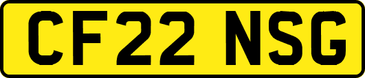 CF22NSG