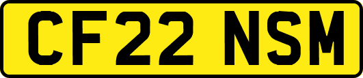 CF22NSM
