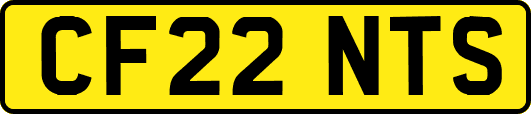 CF22NTS