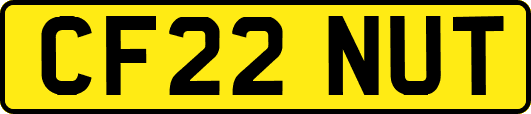CF22NUT