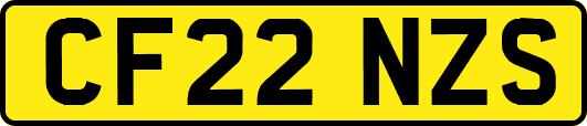 CF22NZS
