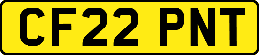 CF22PNT