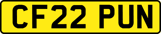CF22PUN