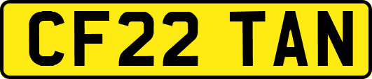 CF22TAN
