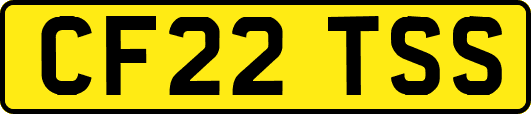 CF22TSS