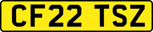 CF22TSZ