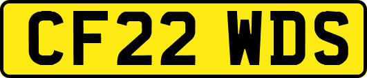CF22WDS