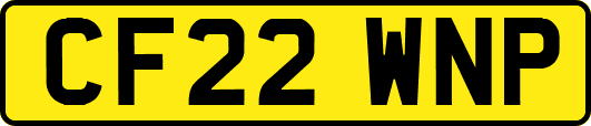 CF22WNP