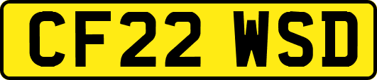 CF22WSD