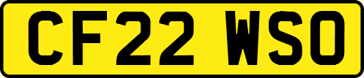 CF22WSO
