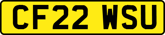 CF22WSU