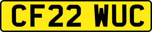 CF22WUC