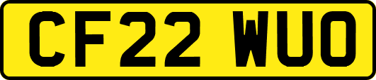 CF22WUO