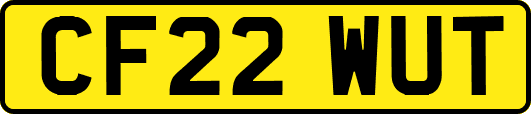 CF22WUT