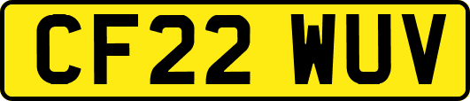 CF22WUV