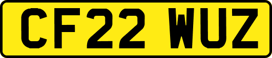 CF22WUZ