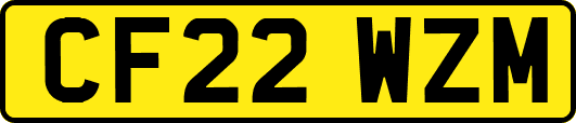 CF22WZM