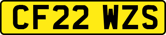 CF22WZS