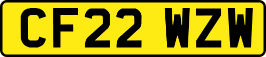 CF22WZW