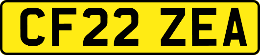 CF22ZEA