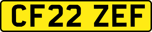 CF22ZEF