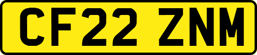 CF22ZNM