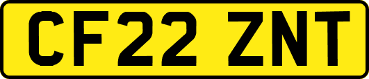 CF22ZNT