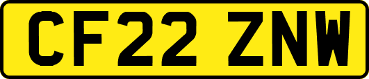 CF22ZNW