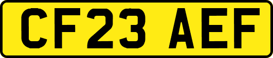 CF23AEF
