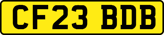 CF23BDB