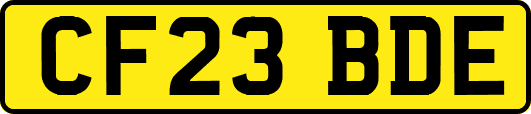 CF23BDE