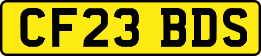 CF23BDS
