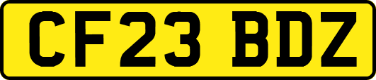 CF23BDZ