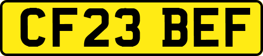 CF23BEF